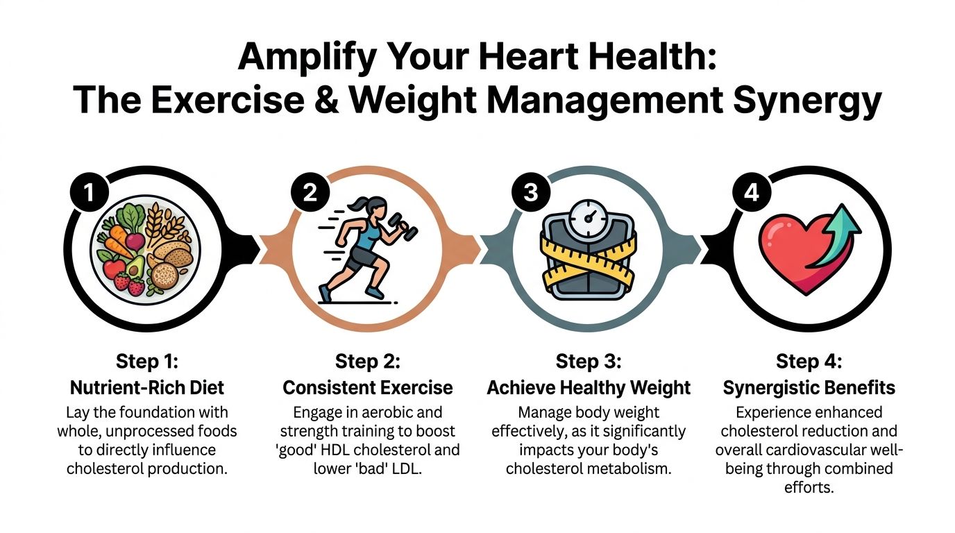 A four-step infographic illustrating how diet, exercise, and weight management improve heart health and cholesterol levels.