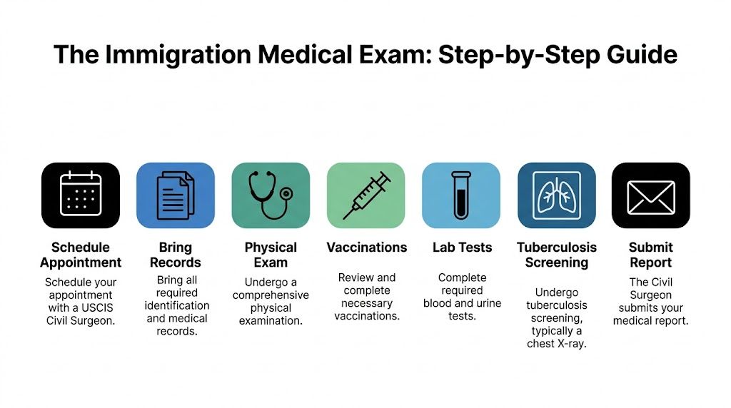 A step-by-step guide icon graphic detailing the process for the US immigration medical examination requirements.