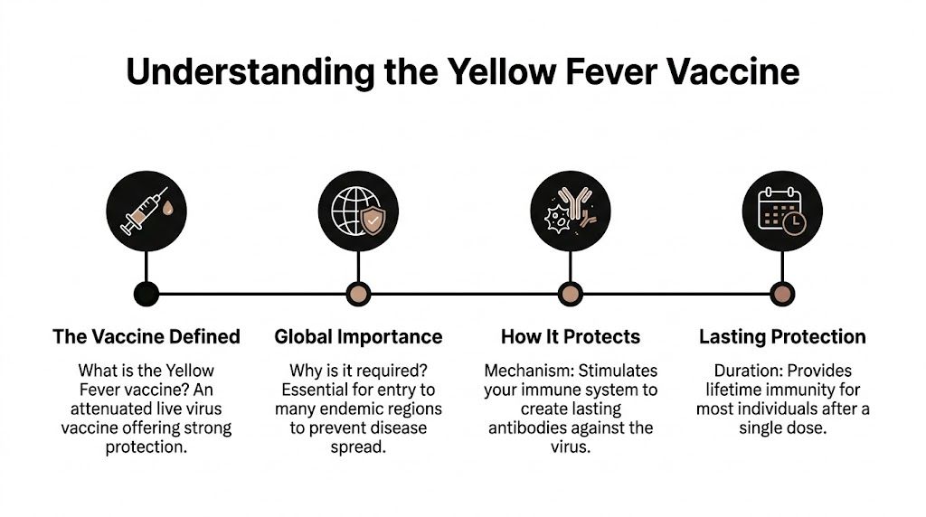 An infographic titled Understanding the Yellow Fever Vaccine showing four stages including definition, importance, protection, and duration.